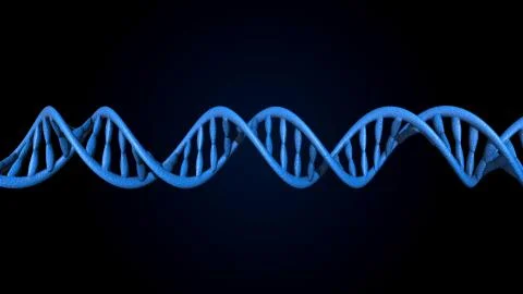 DNA code. Abstract 3d polygonal wireframe DNA molecule helix spiral. Stock-Illustration