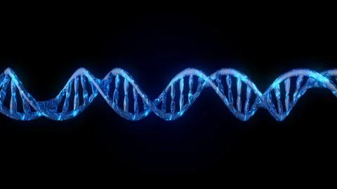 DNA code. Abstract 3d polygonal wireframe DNA molecule helix spiral. Stock Illustration