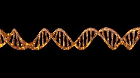 DNA code. Abstract 3d polygonal wireframe DNA molecule helix spiral. Stock Illustration
