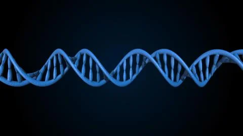 DNA code. Abstract 3d polygonal wireframe DNA molecule helix spiral. Stock Illustration