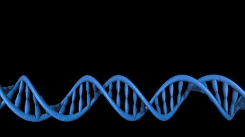 DNA code. Abstract 3d polygonal wireframe DNA molecule helix spiral. Illustrazione stock