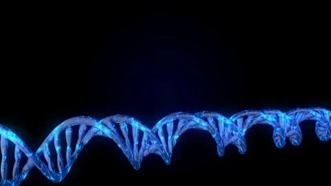 DNA code. Abstract 3d polygonal wireframe DNA molecule helix spiral. Stock-Illustration