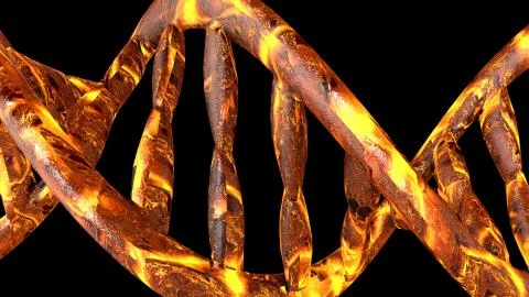 DNA code. Abstract 3d polygonal wireframe DNA molecule helix spiral. 스톡 일러스트