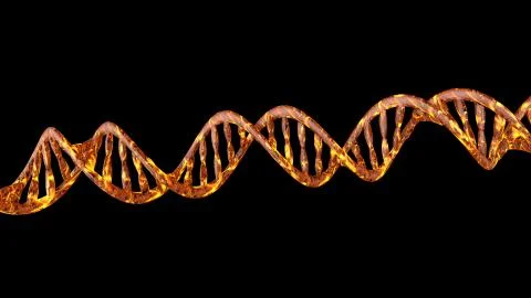 DNA code. Abstract 3d polygonal wireframe DNA molecule helix spiral. Stock Illustration