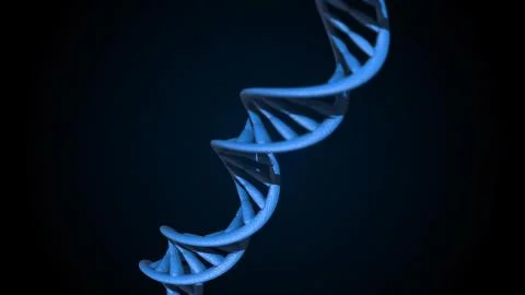 DNA code. Abstract 3d polygonal wireframe DNA molecule helix spiral. Stock Illustration