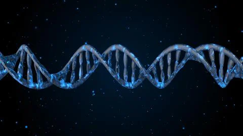 DNA code. Abstract 3d polygonal wireframe DNA molecule helix spiral. Stock Illustration