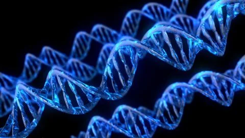 DNA code. Abstract 3d polygonal wireframe DNA molecule helix spiral. Stock Illustration