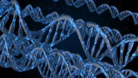 DNA code. Abstract 3d polygonal wireframe DNA molecule helix spiral. Stock Illustration