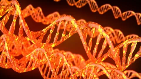 DNA code. Abstract 3d polygonal wireframe DNA molecule helix spiral. 스톡 일러스트