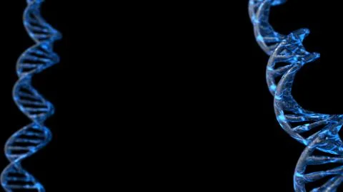 DNA code. Abstract 3d polygonal wireframe DNA molecule helix spiral. Stock Illustration