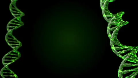 DNA code. Abstract 3d polygonal wireframe DNA molecule helix spiral. 스톡 일러스트