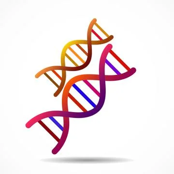 DNA code icon isolated on white background, science concept. Vector illustr.. Stock Illustration
