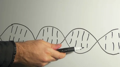 DNA code write explaining science Stock Footage 75746375