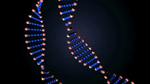 Dna color2 Stock Footage 33825526