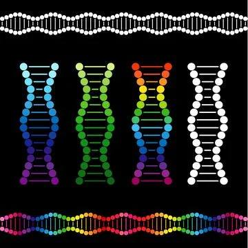 DNA colored Illustrazione stock