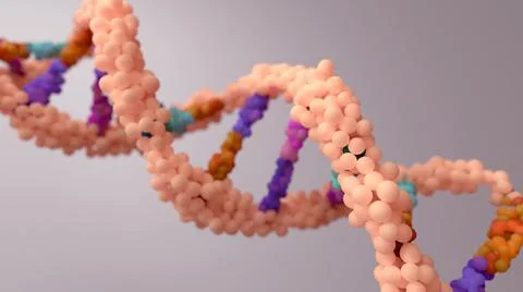 DNA composed of two chains that form a double helix. DNA is a molecule inside ce Illustrazione stock