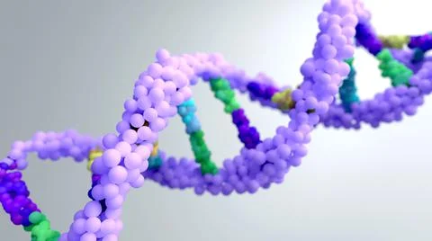 DNA composed of two chains that form a double helix. DNA is a molecule inside ce Illustrazione stock