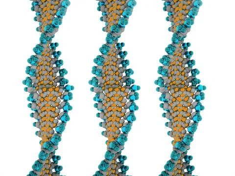 Dna concept on white background Stock Illustration