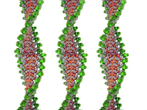 Dna concept on white background Stock Illustration