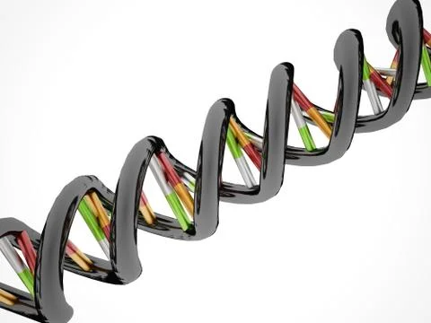 Dna concept on white background Stockillustratie