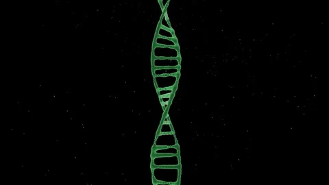 DNA Construction 스톡 동영상 83711578