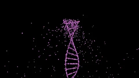 DNA construction, repair, creation . 3d animation. Vertical motion Stock Footage 82370491