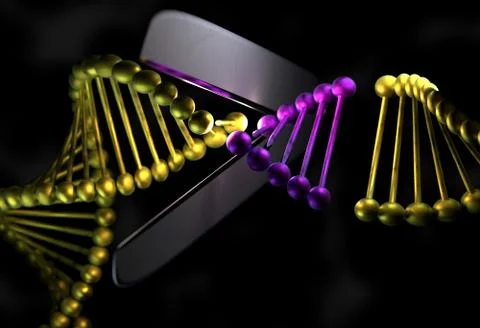 DNA cut the part with a scissor 3d illustration Stock Illustration
