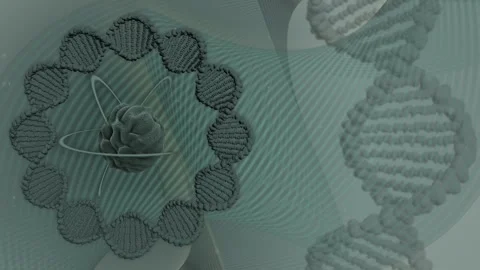 DNA Cyclic Loop Background Olive Stock Footage 248602959