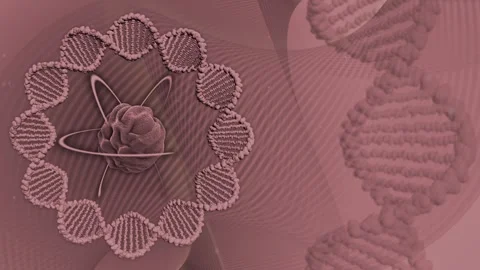 DNA Cyclic Loop Background Rose Stock Footage 248603922