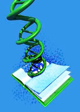 DNA data storage; conceptual artwork Illustrazione stock