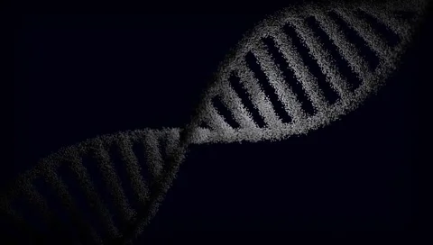 DNA Deoxyribonucleic Acid 3D Digital Model with Double Helix Particle 4K Stock Footage 339269300