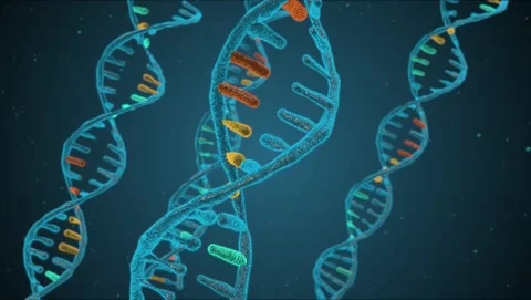 DNA Deoxyribonucleic Acid 3D Visualization with Double Helix Molecules 4K Stock Footage 339269299