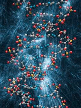 DNA (Deoxyribonucleic acid), artwork Stock Illustration