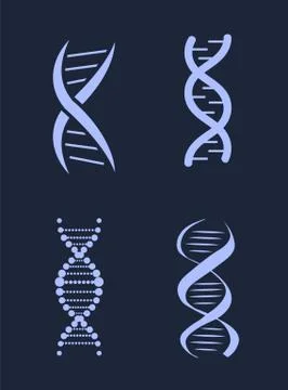 DNA Deoxyribonucleic Acid Chains Set, Nucleotide Stock Illustration