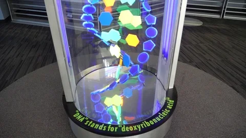 DNA deoxyribonucleic acid double-helix model on display chain of nucleotides Stock Footage 80876307