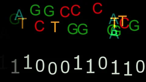 DNA digital data storage. ATCG four basic nucleotides in DNA. Stock Footage 302463187