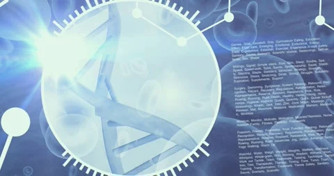 Dna digital display data Stock Footage 347293853