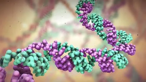 Dna disorder. Strand structure. Science chemistry and medical concept. 스톡 일러스트