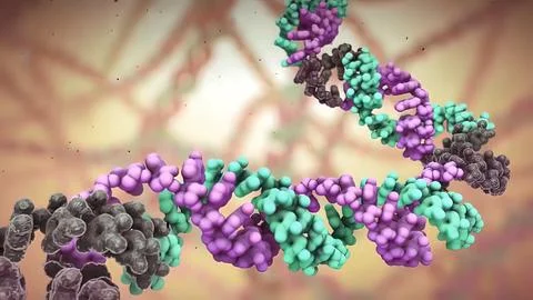 Dna disorder. Strand structure. Science chemistry and medical concept. イラスト素材