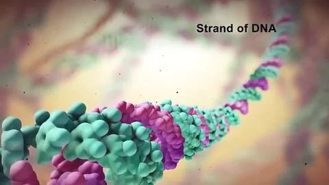 Dna disorder. Strand structure. Science chemistry and medical concept. Stock Illustration