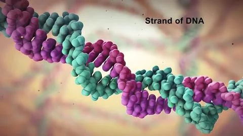 Dna disorder. Strand structure. Science chemistry and medical concept. Stock Illustration