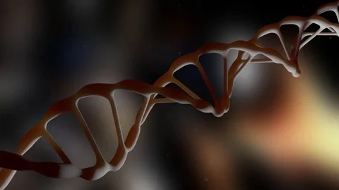 DNA. DNA strand. The camera flies around the DNA molecule. Genetic engineering Stock Footage 76847505