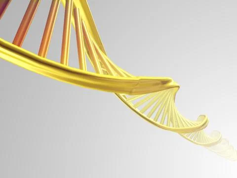 DNA DNS 스톡 사진