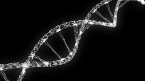 DNA double helices, white on a black background, low poly effect Stock Footage 221717085