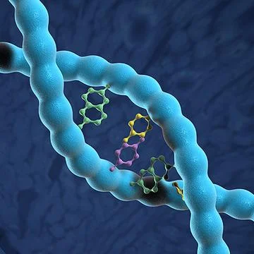 DNA Double Helix 3D Model