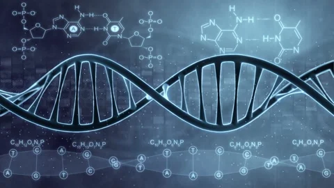 DNA double helix. 3D animation of a DNA spiral formed from nucleotide molecules. Vidéo 146340490