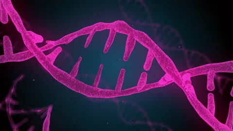 DNA double helix abstract 3D animation. Human DNA spiral. Rotating DNA Strand Stock Footage 152928504