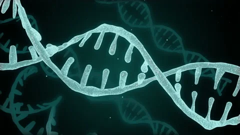 DNA double helix abstract 3D animation. Human DNA spiral. Rotating DNA Strand Vidéo 154449268