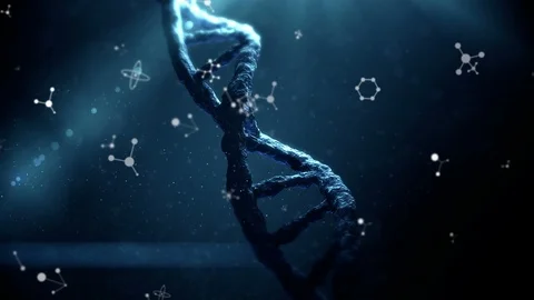 DNA double helix and molecule models Stock-Footage 109213976