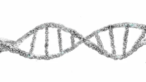 DNA double helix and particles floating up On white background. 動画素材 269446012